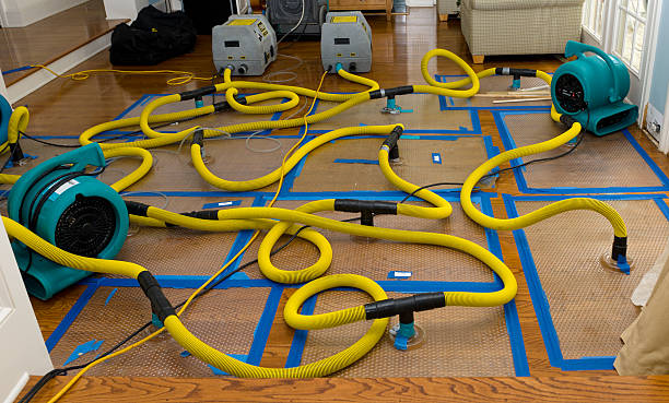 Professional Burst Pipe Water Damage technician working in Fredericksburg, VA